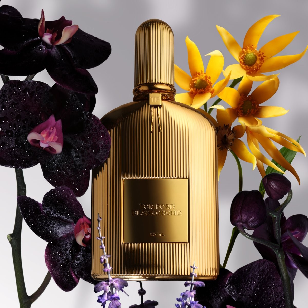 Black orchid perfume for her on sale